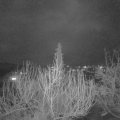 Webcam_20200306-193000