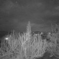 Webcam_20200306-200000