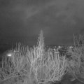 Webcam_20200306-203000