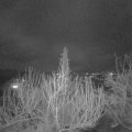 Webcam_20200306-213000