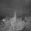 Webcam_20200306-220000