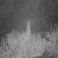 Webcam_20200307-053000