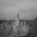 Webcam_20200307-063000