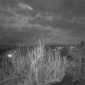 Webcam_20200307-190000