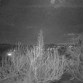 Webcam_20200307-203000