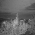 Webcam_20200307-210000