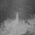 Webcam_20200308-053000