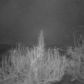 Webcam_20200308-060000