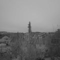 Webcam_20200308-063000