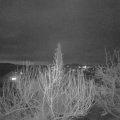 Webcam_20200308-190000
