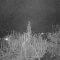 Webcam_20200308-200000