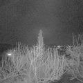 Webcam_20200308-203000