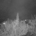 Webcam_20200308-210000