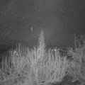 Webcam_20200309-053000