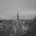 Webcam_20200309-063000