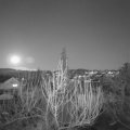 Webcam_20200309-190000