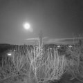 Webcam_20200309-200000