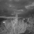 Webcam_20200309-213000