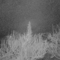Webcam_20200310-050000