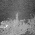 Webcam_20200310-053000