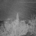 Webcam_20200310-060000