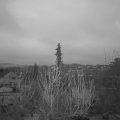 Webcam_20200310-063000
