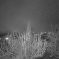 Webcam_20200310-203000