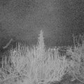 Webcam_20200311-053000