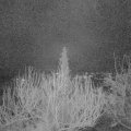Webcam_20200311-060000