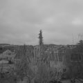 Webcam_20200311-063000