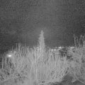 Webcam_20200311-193000