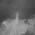 Webcam_20200311-200000