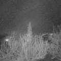 Webcam_20200311-203000