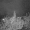 Webcam_20200311-210000