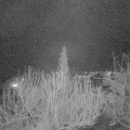 Webcam_20200311-213000