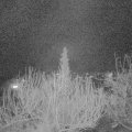 Webcam_20200311-220000