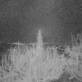 Webcam_20200312-053000