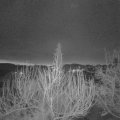 Webcam_20200312-060000