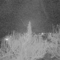 Webcam_20200312-200000