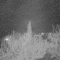 Webcam_20200312-203000