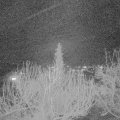 Webcam_20200312-210000