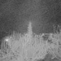Webcam_20200312-213000
