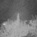 Webcam_20200312-220000