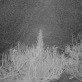 Webcam_20200313-053000
