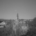 Webcam_20200313-190000