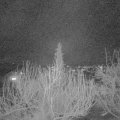 Webcam_20200313-193000