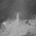Webcam_20200313-200000