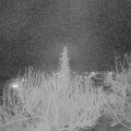 Webcam_20200313-210000