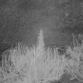 Webcam_20200314-050000