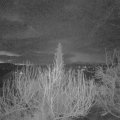 Webcam_20200314-053000